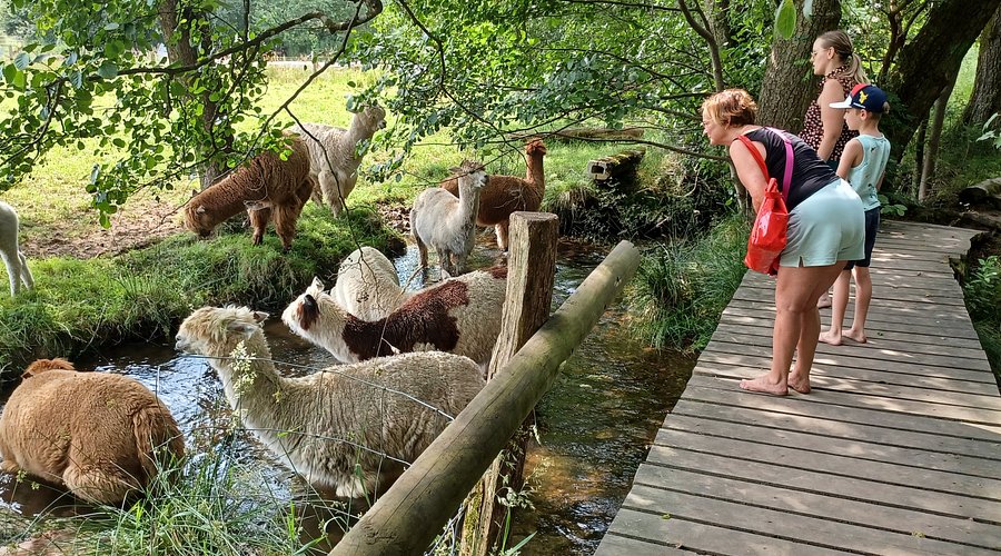 Ferme de la Planche