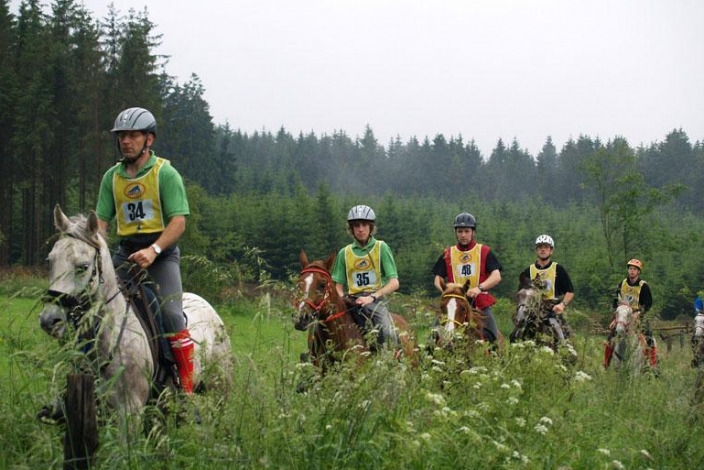 Balade à cheval